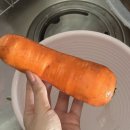 흙묻은감자민박 | 제주당근 신선한 유기농 흙당근 보관법 무농약 당근