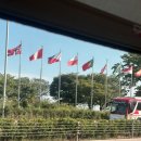 탑블루베리(주) | 아시아나항공 시드니 기내식 일반석 영양쌈밥 비빔밥 후기
