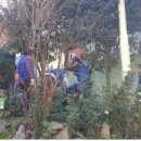 봉래2동-10 이미지