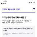 SKT눈아들 개인정보 유출 됏는지 확인해봐 이미지