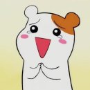 광주순대전통집 이미지