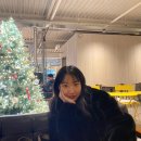 카페루식스 이미지