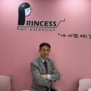 프린세스붙임머리 네이버블로그