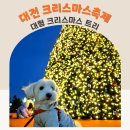 크리스마스 트리 축제 | 대전 유성온천 크리스마스축제 강아지동반 후기 대형크리스마스트리