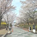 대구농업마이스터고등학교 이미지