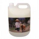 체리쉬퍼피 이미지