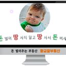 황금의땅공인중개사사무소 이미지