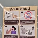 강릉 애견간식 추천 💕 강릉댕스데이 솔직 후기 (현지인 시점)