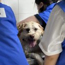 새나리로38번길 이미지