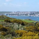 골프다이제스트아카데미 이미지