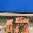 분당-174 | 남자탈모 분당 두피 관리후기 탈모 &amp;두피밥 분당점