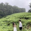 고사리맨션이 이미지