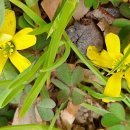 도도한푸드 이미지