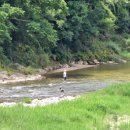 삼둔사가리 이미지