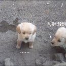 노상 이미지