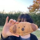 이솝하우스 이미지