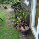 바우네 민박 이미지