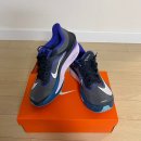 플라이 소프트 | 나이키 시즌오프 세일 나이키 러닝화 줌플라이6 후기