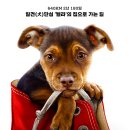 더웨이홈(The Way Home)
