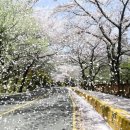 뮬메이크업/스킨 네이버블로그