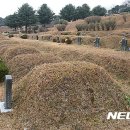 충주시 공설묘지 이미지