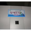 동강물소리