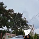 양지은농장 | 제주도 감귤농장체험 제주사랑농장 후기