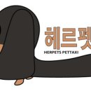 안산펫택시 이미지