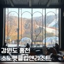 펫코스(Pet-cose) | [강원도][홍천] 소노펫클럽앤리조트 비발디파크 반려동물 시설 프로그램 후기