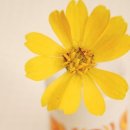 강촌꽃게찜 이미지