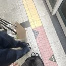 마이쥬 네이버블로그