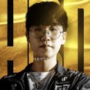 오늘도 개털린 젠지 the 영토의 무결성 이미지