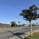 김정희오일 이미지