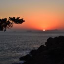 야생화민박 이미지