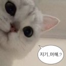 사과밭스테이 이미지