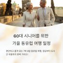 유럽 도시에 흐르는 클래식 음악 | 60대 시니어를 위한 가을 동유럽 7박 9일 여행 일정 추천