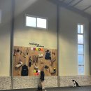 힐링독아카데미 이미지