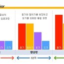 쎄쎄니
