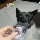 마이디(My:D) 이미지