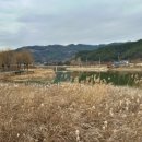 양구 첨성대 불가마 찜질방 이미지