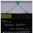수미 피부샵