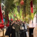 오쎄 | 🌿 사당역 오쎄 카페 방문 후기 – 예쁜 인테리어+귀여운 다육이🪴