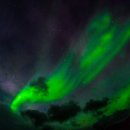 주식회사이상 이미지