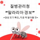 경보행정사 이미지