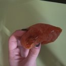 만해농장 | 서기네농장 대봉반건시곶감 내돈내산 맛도리 후기