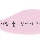 Team on gym 이미지