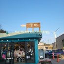 대관령 | 🐑 강원도 여행코스 추천! 아기랑 다녀온 대관령 양떼목장 후기 🌲⛰