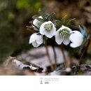 DAWN COFFEE(새벽커피) 이미지