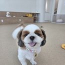 취향저견 네이버블로그