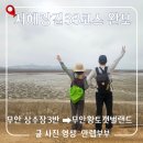 칠산마을회관 | [서해랑길 33코스 역방향] 무안상수장3반~황토갯벌랜드 19.7km 완보 가이드
